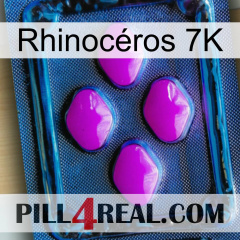 Rhinocéros 7K 04